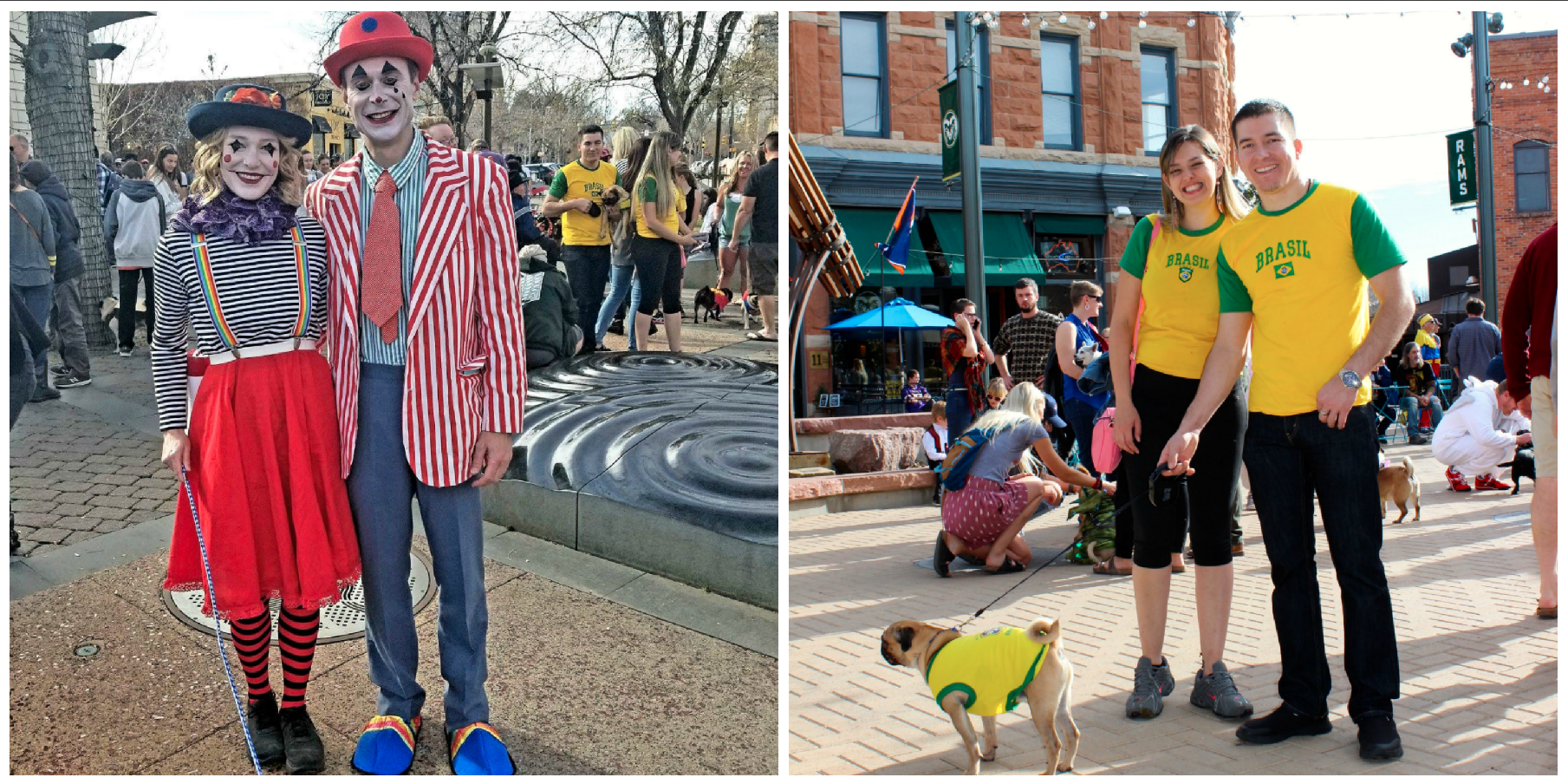 Fort Collins Halloween Pug Parade